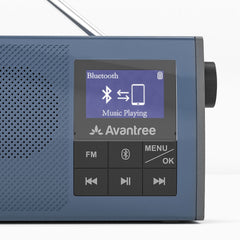 Audikast 4860 Wireless Speakers for TV & FM Radio 2-in-1 for seniors, with voice clarity, low latency, long range, and Bluetooth pairing for phone audio.