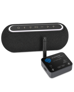 Audikast Harmony A2