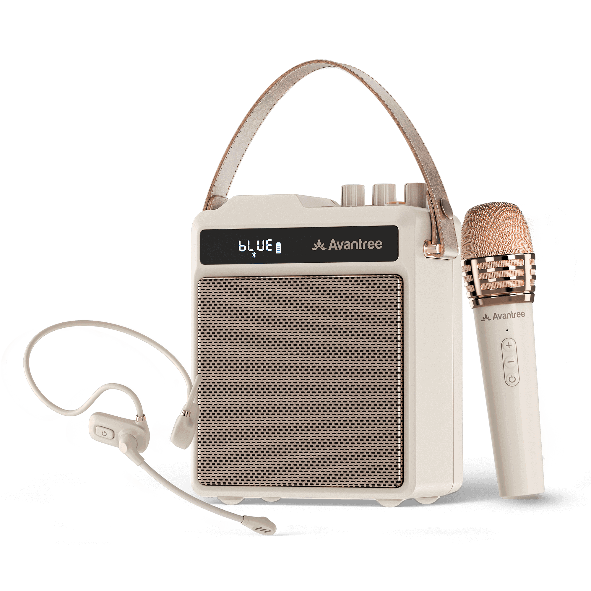 VoxAmp Duo