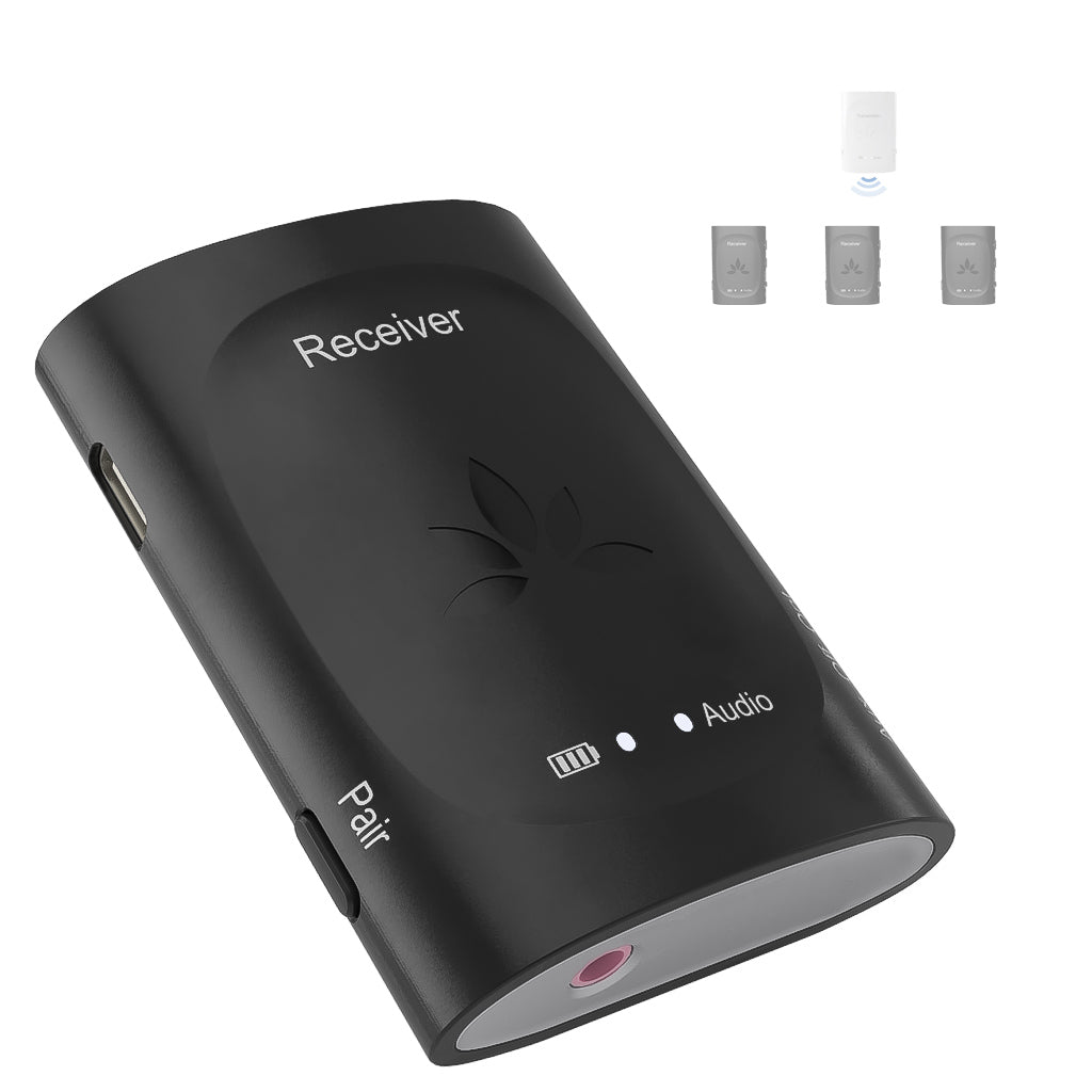 Receiver for Audiplex/Quartet/Duet (Not for Audiplex M3 or MX)
