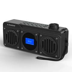 Boombyte Portable Digital FM Radio with Bluetooth Speaker Superb Sound, Metal Finish, MP3 Player, Support Micro SD Card & USB Audio Input, Long Play Time, Rechargeable, Easy to Use