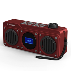 Boombyte Portable Digital FM Radio with Bluetooth Speaker Superb Sound, Metal Finish, MP3 Player, Support Micro SD Card & USB Audio Input, Long Play Time, Rechargeable, Easy to Use