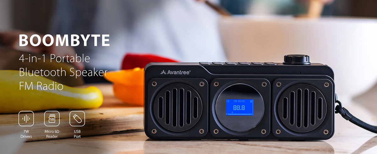 Boombyte Portable Digital FM Radio with Bluetooth Speaker, 4-in-1 functionality with FM radio, Bluetooth, USB, and SD card playback.