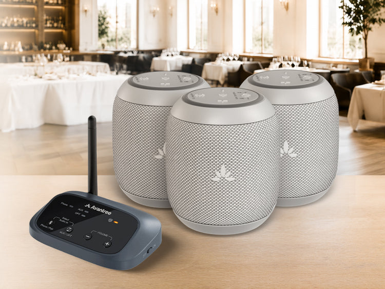 Harmony A0 Auracast Wireless Multi-Speaker System for resturants and venues. Auracast trasmitter, expandable and one to many broadcast