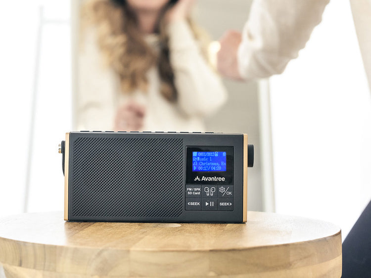 SoundByte T Portable FM Radio with Bluetooth, SD card, transmitting, replaceable battery, and sleep timer 