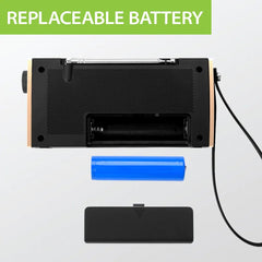 SoundByte T Portable FM Radio with Bluetooth with replaceable battery 