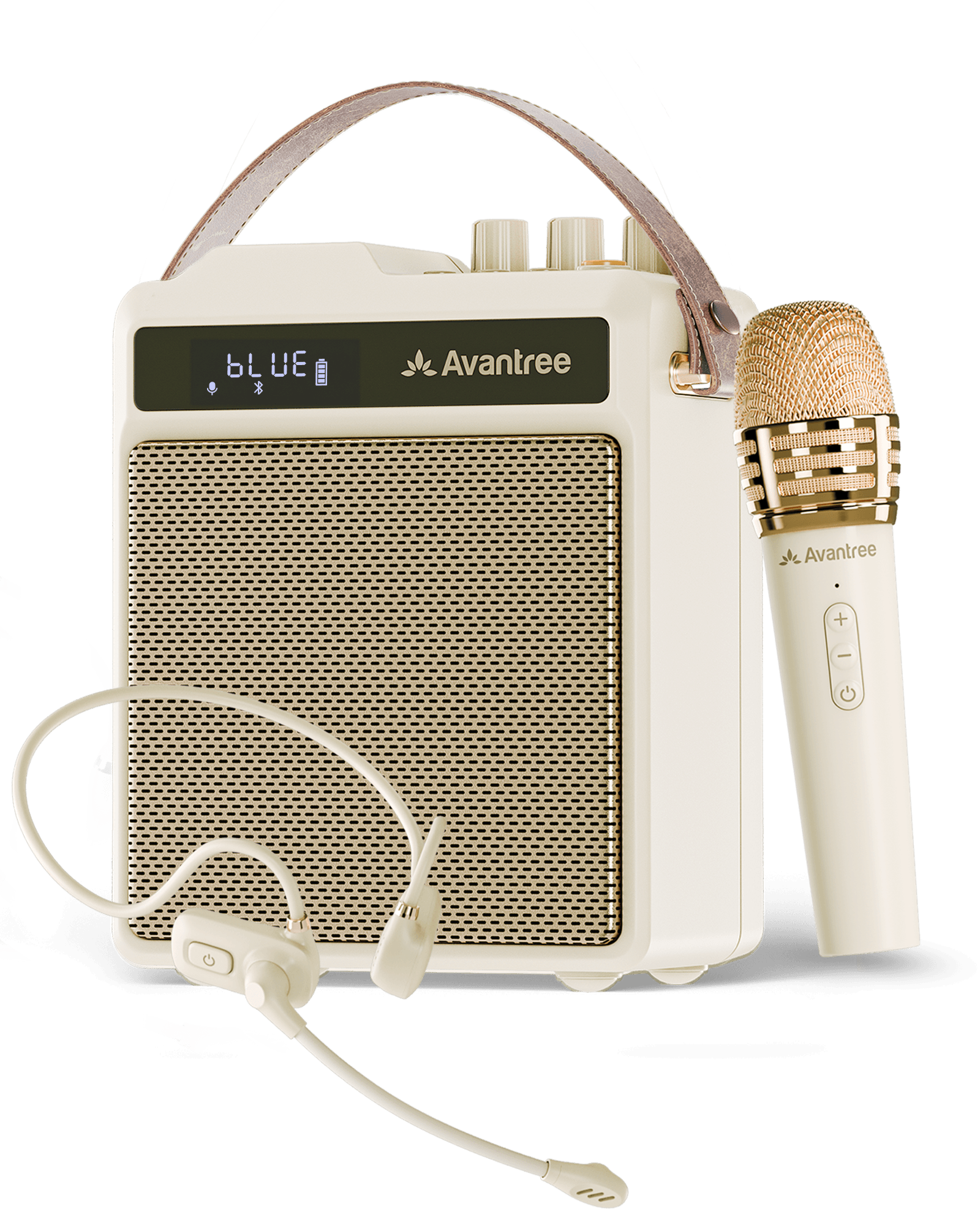 VoxAmp Duo Wireless Speaker with Dual Microphone for Class, Karaoke & Small Events